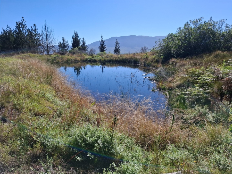  Bedroom Property for Sale in Riversdale Rural Western Cape